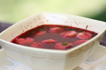 Borsch with meat dumplings