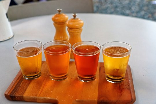 Bierprobe