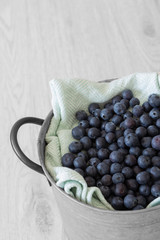 Blueberries with a tea towel in a metal pot container with handle.  Grey wood background.