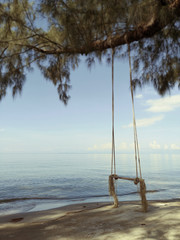 Wooden swing hanging from a tree on the beach in the morning with sun light.