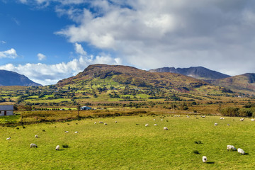 Fototapeta na wymiar Landscape with mountains, Ireland