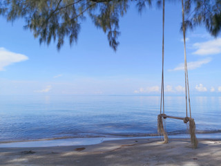 Wooden swing hanging from a tree on the beach in the morning with sun light.