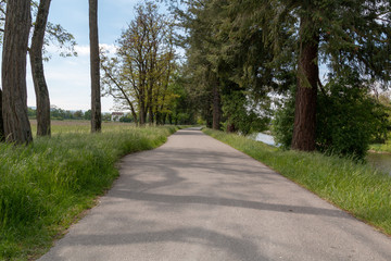 Fototapeta na wymiar Paved path between the field and trees