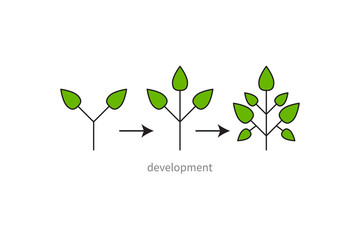 Development, growth, evolution icon