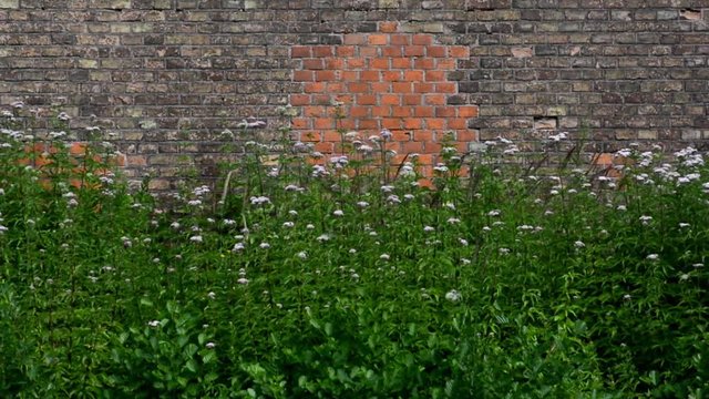 Impressions from Citadel Park in Berlin Spandau on July 12, 2016, Germany