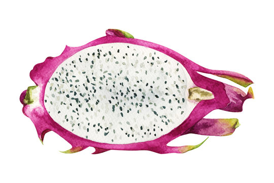 Delicious beautiful tropical exotic fruit pitaya cut in half. isolated watercolor painted white background. Dietary healthy food, beautiful feed. Menu, cover, packaging, sticker, cafe, print, art