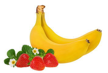 Fresh bananas isolated on white background with clipping path