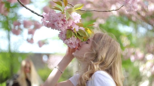 Young attractive blonde girl smelling blooming sakura cherry tree in Tokio, Japan. Portrait of beautifull european women playing with pink flowers
