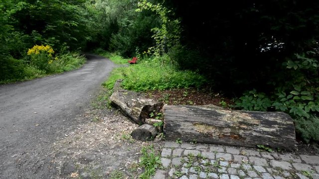 Impressions from Western Ditch in Citadel Park in Berlin Spandau on August 23, 2016, Germany