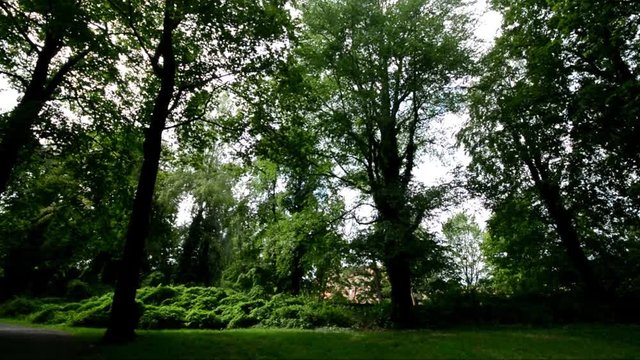Impressions from Western Ditch in Citadel Park in Berlin Spandau on August 23, 2016, Germany