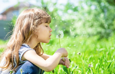 girl blowing dandelions in the air. selective focus.