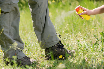 Using anti insect spray aerosol at nature