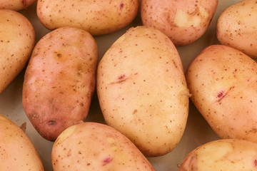 Tubers of young raw potatoes