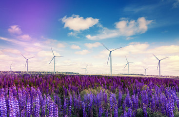 fantastic summer landscape. Windmills for electric power production.
