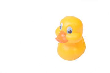 Plastic yellow duck toy isolated on white background