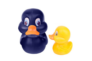 Plastic yellow duck toy isolated on white background