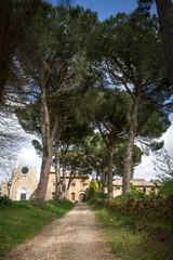 Falerii Novi (Fabrica di Roma, Lazio)