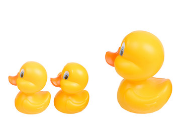 Plastic yellow duck toy isolated on white background