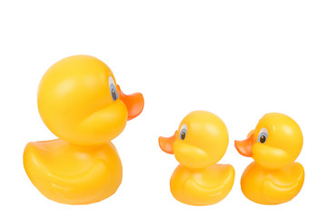 Plastic yellow duck toy isolated on white background