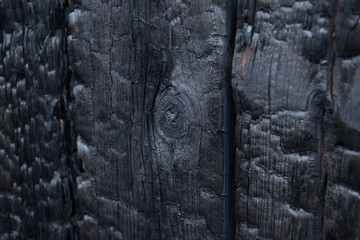 burnt wood