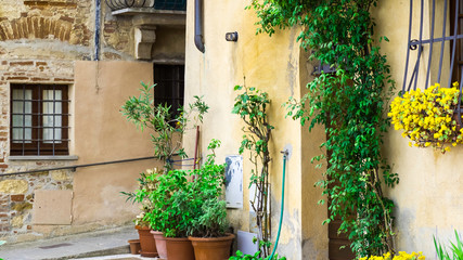 Fototapeta na wymiar Green foreshortening of some plants in a side street of Montepulciano