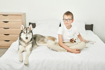 boy in glasses with dogs husky and jack russell lying on a white bed at home