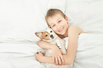 boy sleeping with dog jack russell on white bed at home