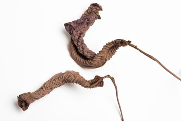 A close-up look at the form, shape and texture of two dried brown leaves set artistically as fine...