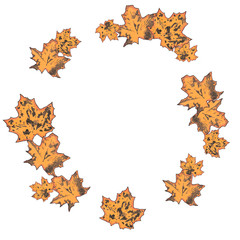 wreath of autumn leave. prints of maple leaves. sale