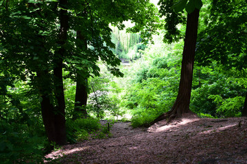 Obraz premium Park in Kiev