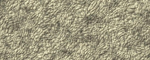 Elephant skin texture background