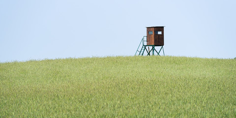 Raised hide in a field with grain against blue sky in the Havelland region in Brandenburg, Germany