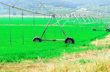 Central pivot irrigation system in a green field in a sunny day. Modern farming
