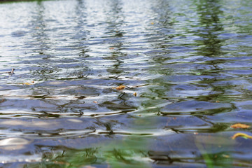 Natural water texture in the summer on a sunny day.  Natural ripples on the surface of the lake.