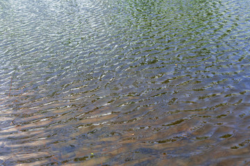 Natural water texture in the summer on a sunny day.  Natural ripples on the surface of the lake.