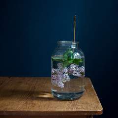 bouquet of lilac twigs in a transparent green jar on the wooden table opposite of black wall