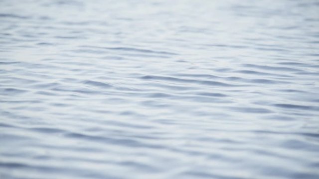 water flows calmly awy from camera