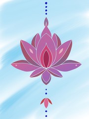 water lily flower on blue background