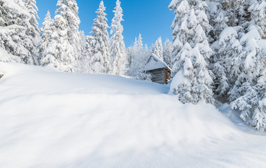 wood house in the snow