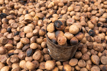 Myanmar street food roasted olive seeds