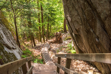 View at Mountain Trail in British Columbia, Canada. Mountains Background.