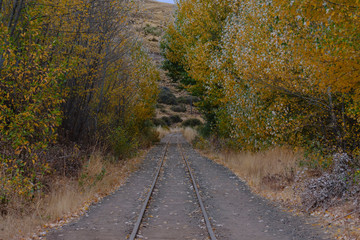Country railway in autumn forest