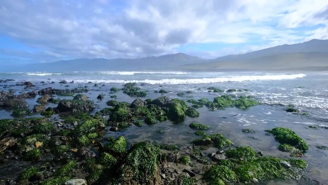 sliding descending pan from panoramic California coastline and surf at low tide onto green moss covered rocks and incoming tide surge