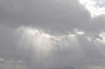 Rays