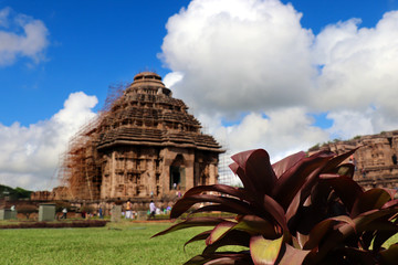 Konark Sun Temple in Odisha, India. Ancient Hindu Temple at Konark.  Dedicated to the Hindu sun god Surya,