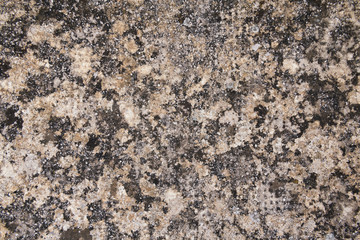 Old stone texture. Dirty rock surface covered with lichen and moss for backgrounds