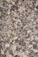 Old stone texture. Dirty rock surface covered with lichen and moss for backgrounds