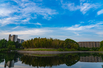 吹田の風景　桃山公園