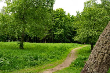 summer landscape, Park, picnic area, paths, river