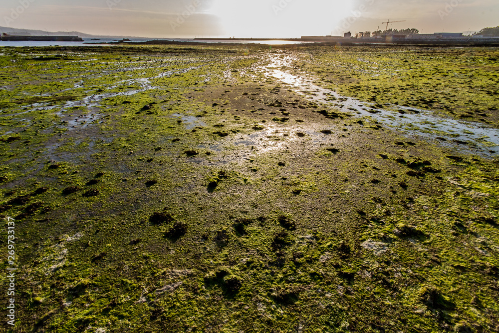 Poster low tide